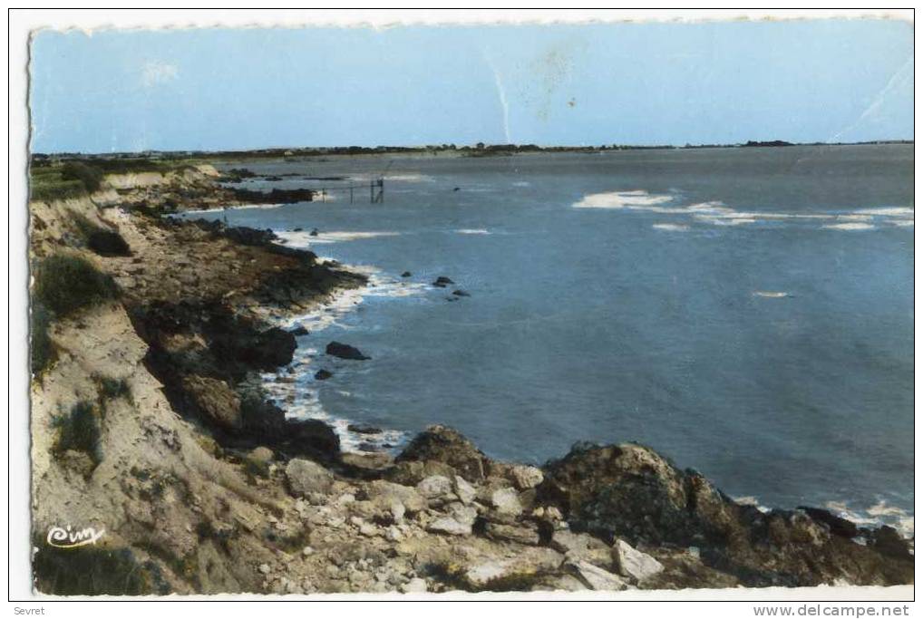 ANGOULINS Sur Mer - La Côte Sauvage. CPSM 9x14 - Angoulins