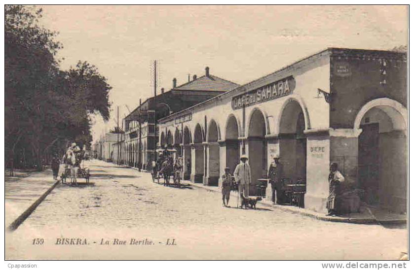 BISKRA - La Rue Berthe - Café Du Sahara- Attelages- Cpa LL 159- PAYPAL SANS FRAIS - Biskra