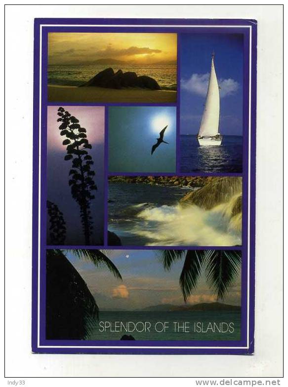 - ANTILLES NEERLANDAISES . SPLENDOR OF THE ISLANDS - Otros & Sin Clasificación