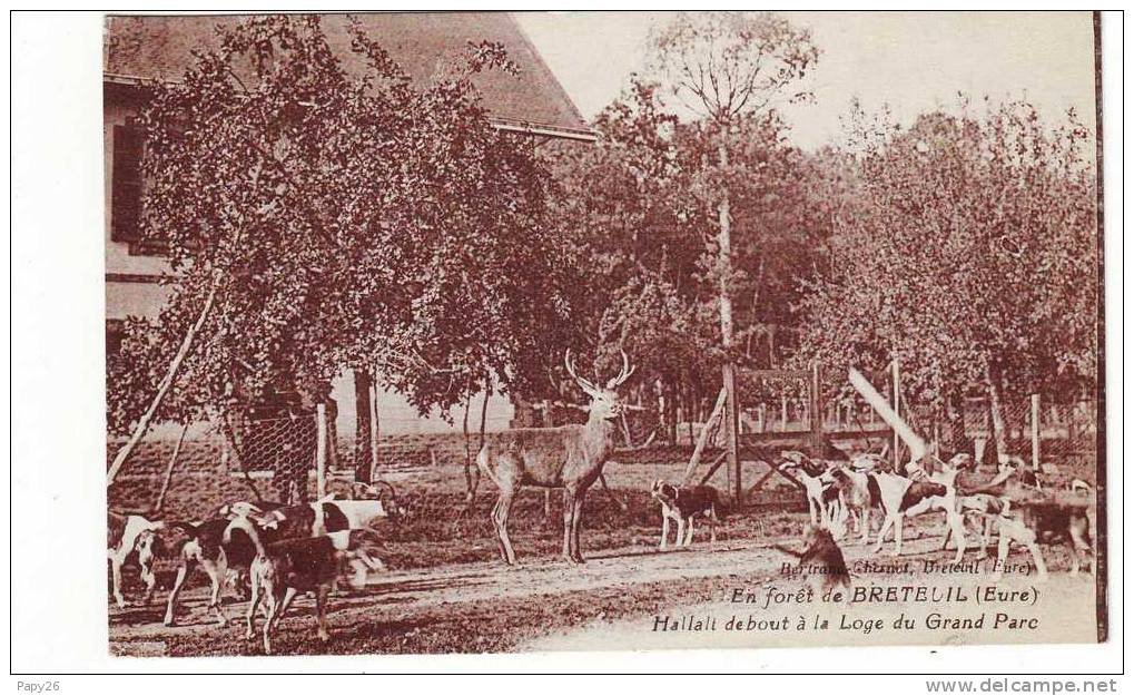 Cpa En Forêt De Breteuil - Breteuil