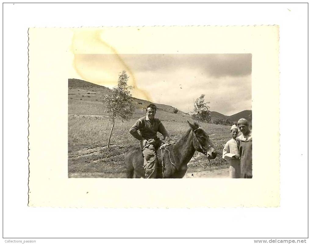 Photos, Maroc, A Dos D'Âne,1957 - Places