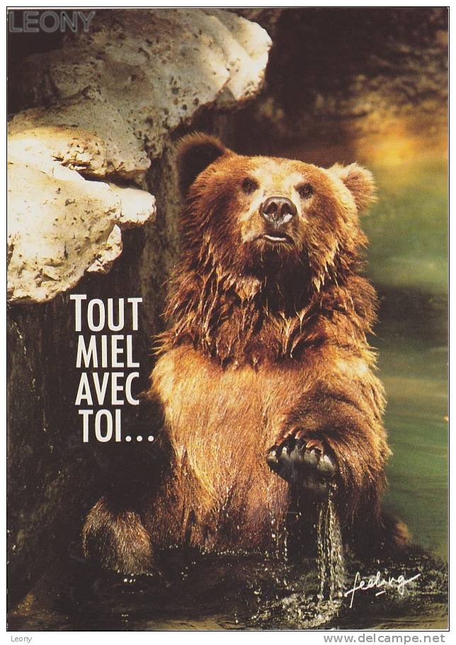 CPM " HUMOUR Des OURS  " -  Paroles Pour L´éternité - Beren