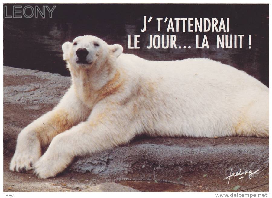 CPM " HUMOUR Des OURS  " - Mots Pour Rire - Beren