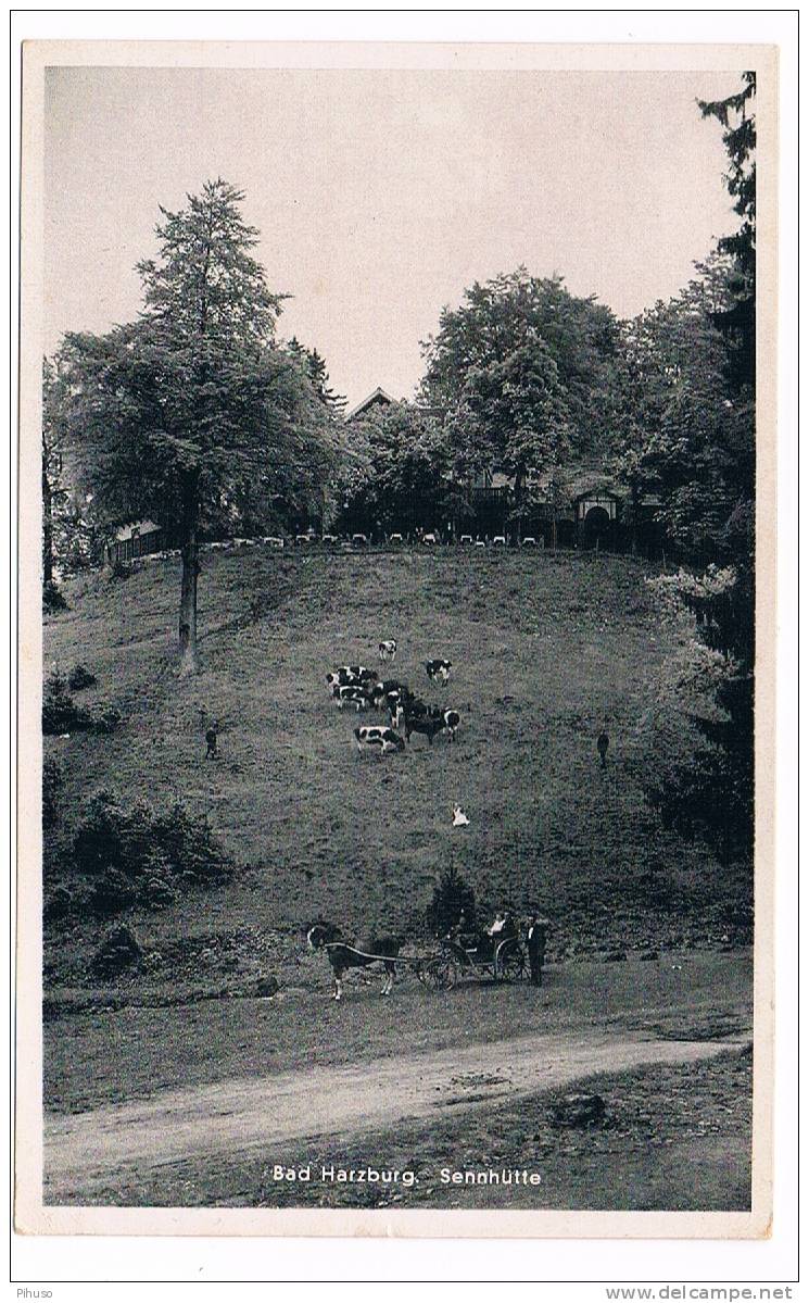 D1333   BAD HARZBURG : Sennhütte - Bad Harzburg