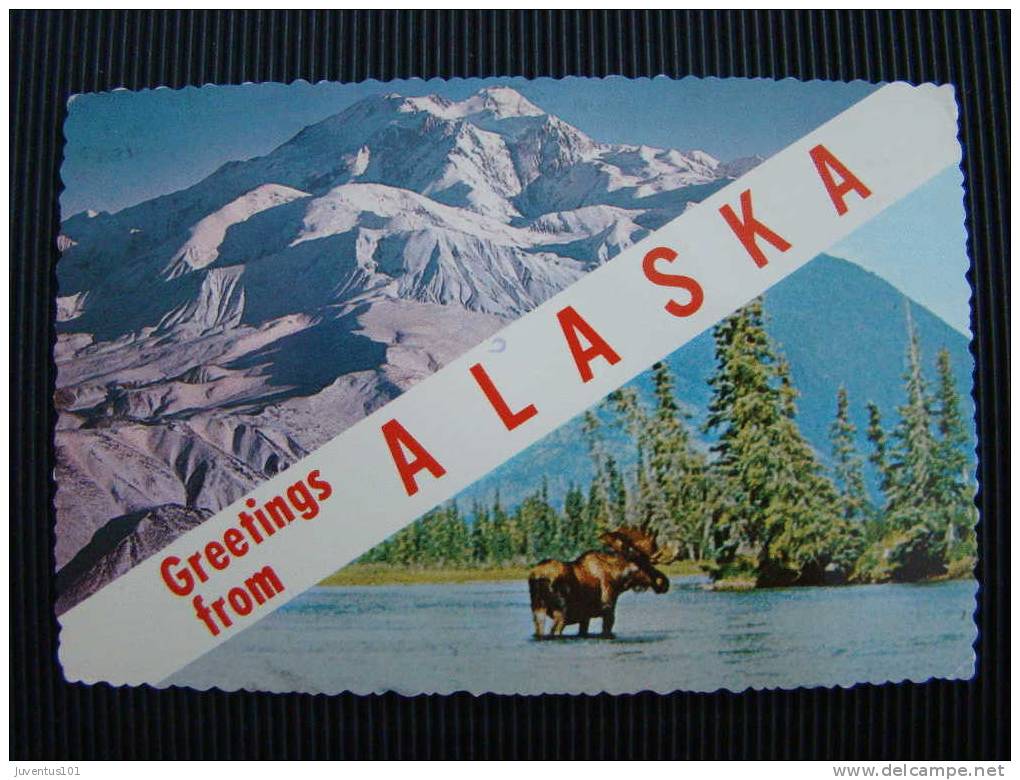 CPSM Greetings From ALASKA - Other & Unclassified