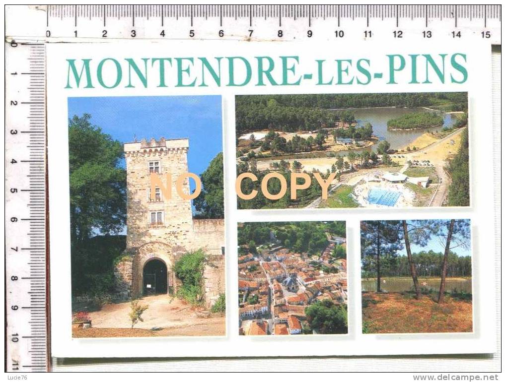 MONTENDRE LES PINS   -  4 Vues -  Le Château - Vues Aériennes - Le Lac -    -lu - Montendre