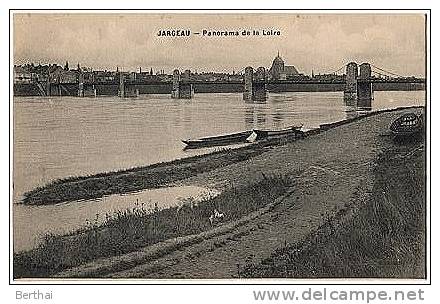 45 JARGEAU - Panorama De La Loire - Jargeau