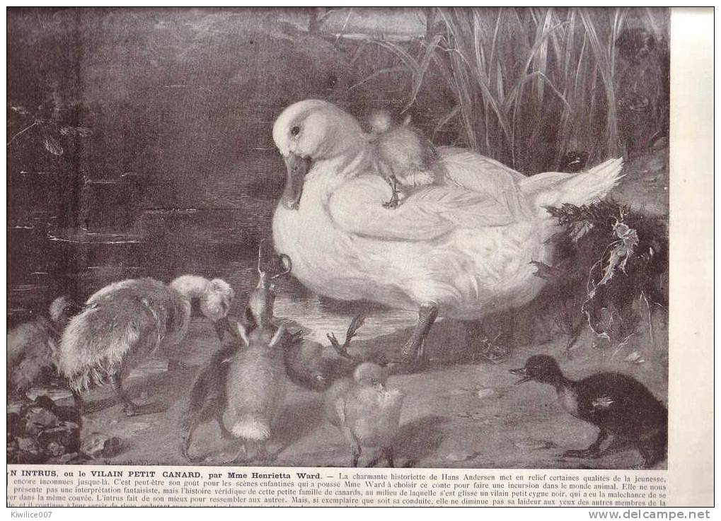 Gravure G22 LE VILAIN PETIT CANARD Par Henrietta Ward   +  L HOMME NOIR Par B Genzmer - Estampes & Gravures