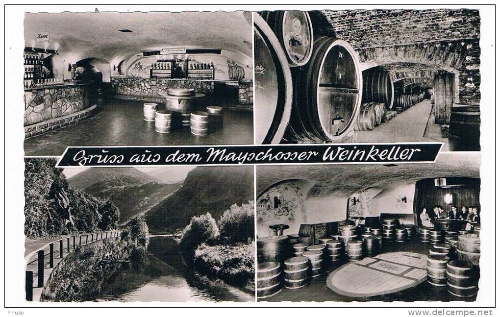 D1420   MAYSCHOSS : Gruss Aus Dem Mayschosser Weinkeller - Bad Neuenahr-Ahrweiler