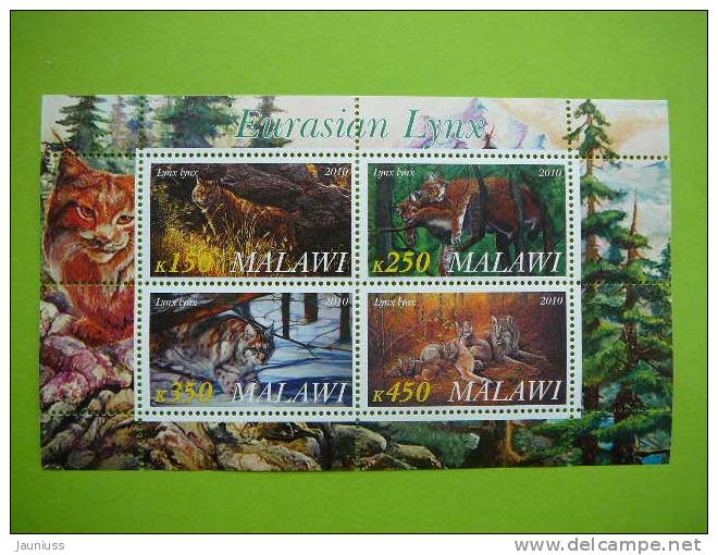 Malawi 2010 Luchs Lynx Tiere Animals ** MNH Block - Big Cats (cats Of Prey)