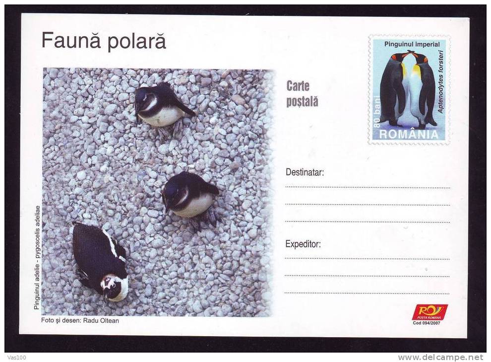 Manchot Empereur / Adélie, Entier 2007 – Emperor And Adelie Penguin Stationery Postcard, Polar Year 2007. Pingouin - Pinguïns & Vetganzen