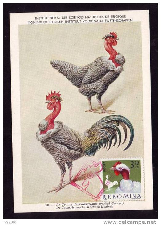 HEN,RARE MAXICARD FDC 1963 ROMANIA - Gallinaceans & Pheasants