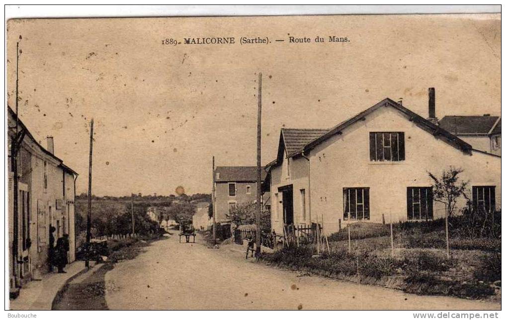 CPA De MALICORNE Route Du Mans - Malicorne Sur Sarthe