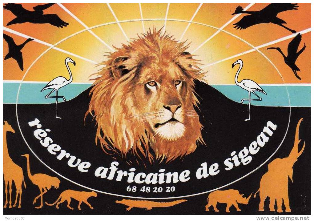 SIGEAN : Réserve Africaine  (Carte Postale Antocollant) - Sigean