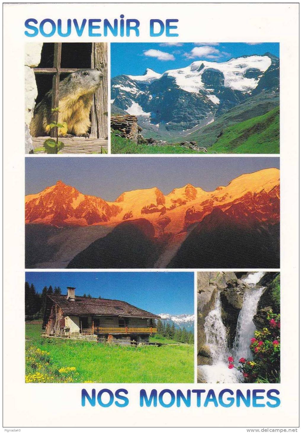 Cp , RÉGIONS , RHÔNE-ALPES , Multi-Vues , Souvenir De Nos Montagnes - Rhône-Alpes