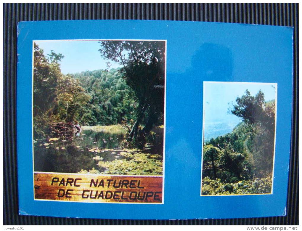 CPSM GUADELOUPE-Parc Naturel De Guadeloupe-état Voir Scan - Saint Martin