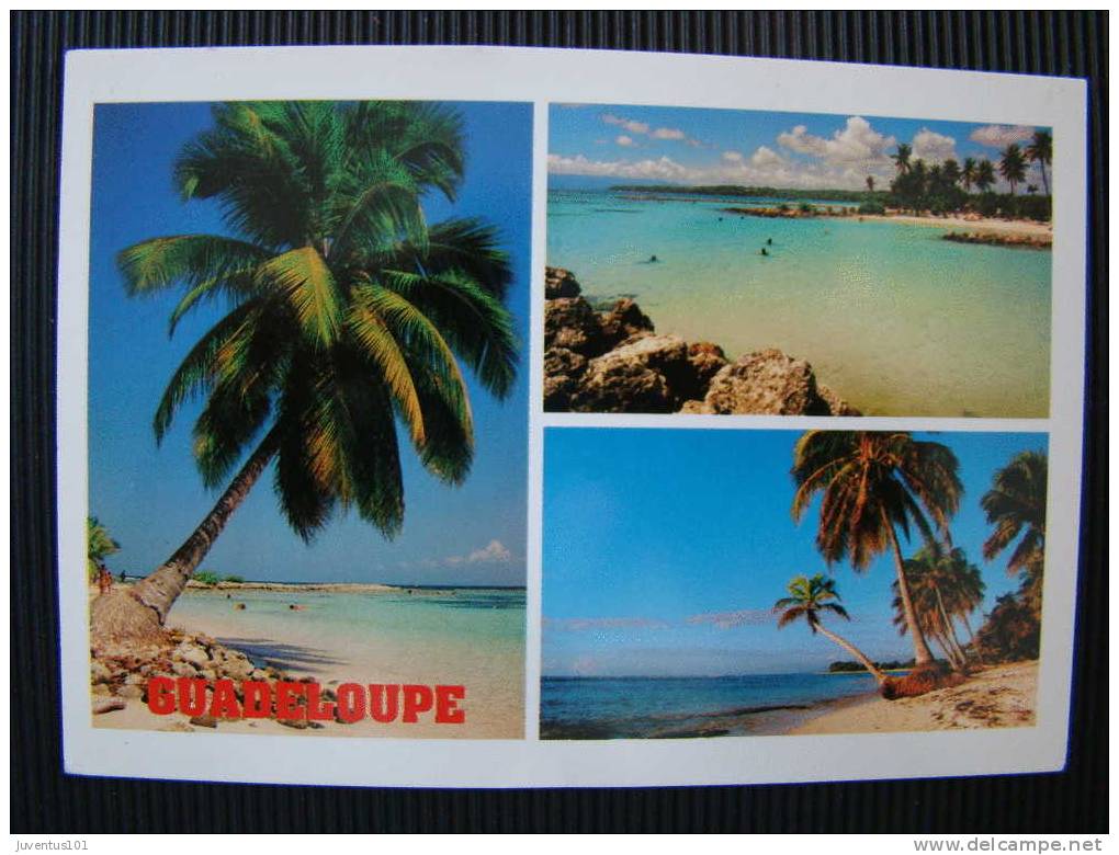 CPSM GUADELOUPE - Saint Martin