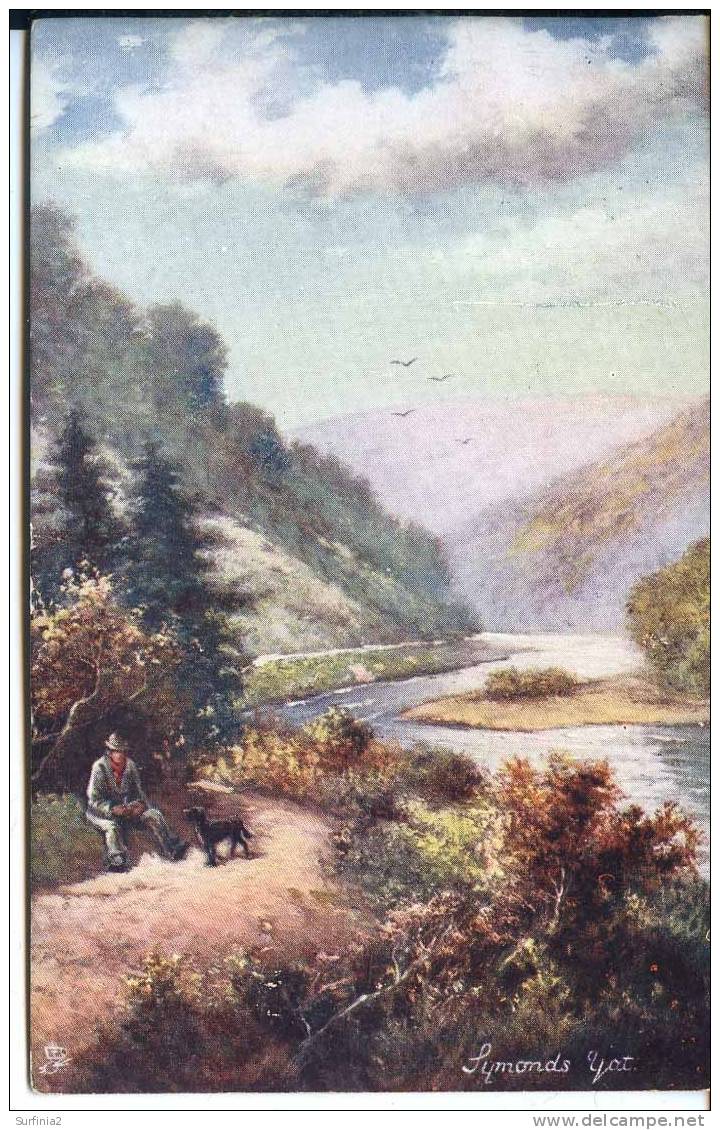 TUCKS OILETTE SERIES 7189 - SYMONDS YAT - Monmouthshire