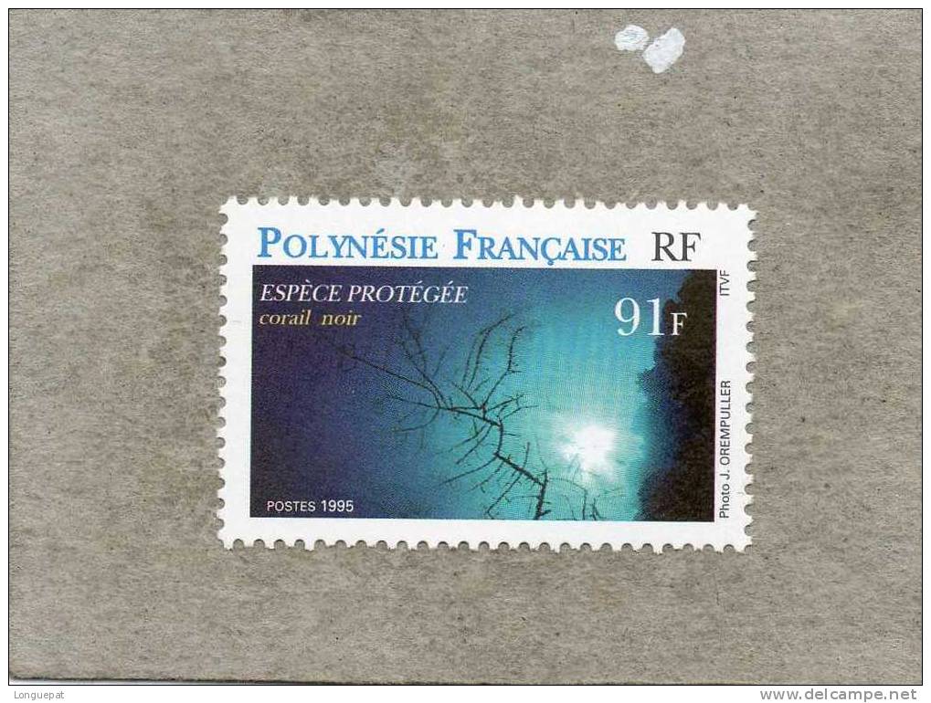 POLYNESIE Française : Espèces Protégées : Corail Noir - Unused Stamps