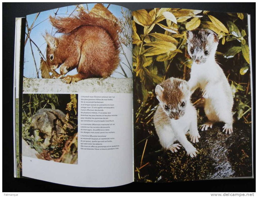 La Chasse Photographique - PAR JEAN MARIE BAUFLE - JEAN PHILIPPE VARIN - Photographs