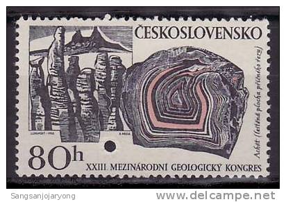 Specimen, Czech Sc1561 Geology, Fossil - Fossielen