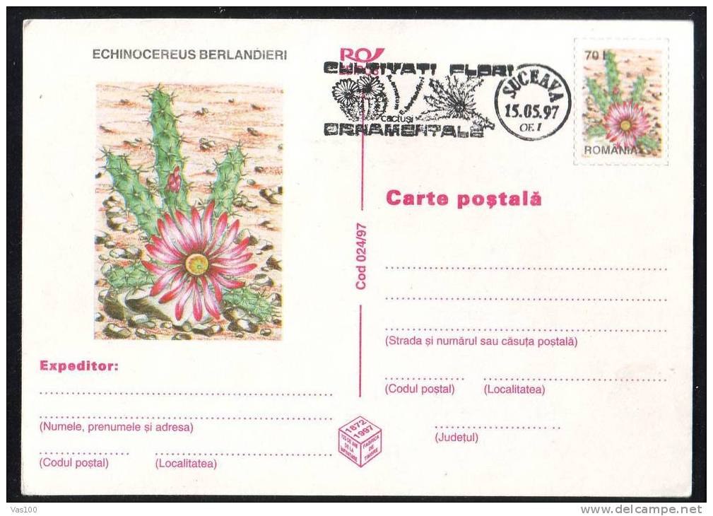 ROMANIA 1997 Entier Postaux Stationery POSTCARD,with Cactusses,cactus.(B) - Cactussen