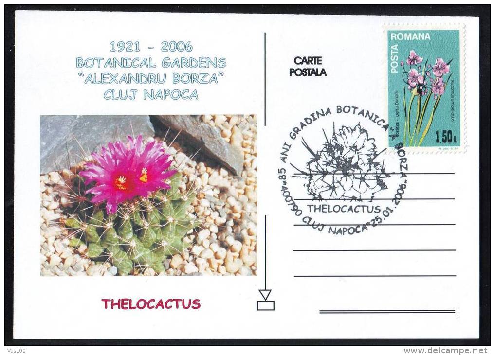 ROMANIA 2006  POSTCARD,with Cactusses,cactus.(B) - Cactus