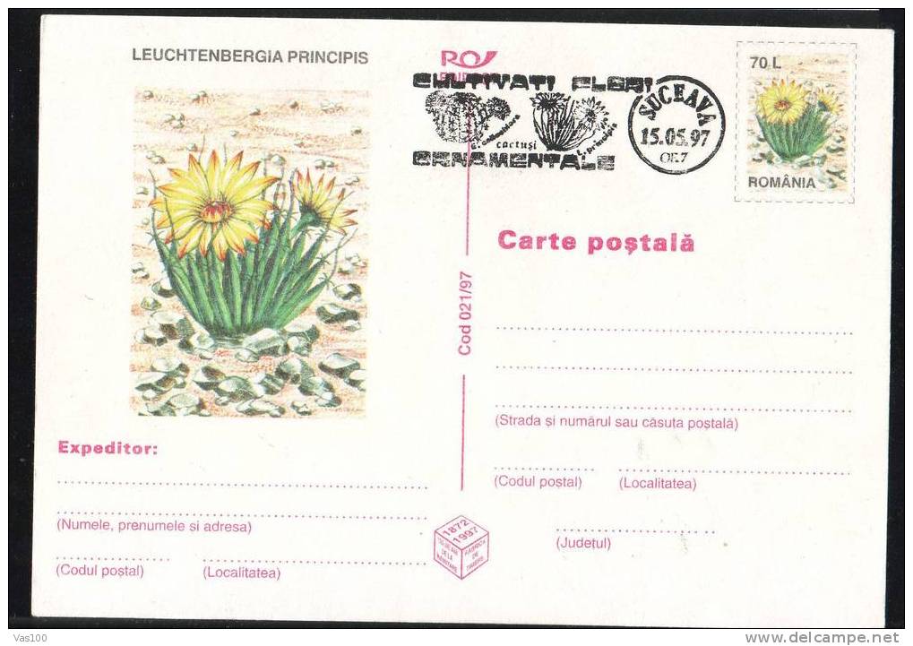 ROMANIA 1997 Entier Postaux Stationery POSTCARD,with Cactusses,cactus.(C) - Cactus
