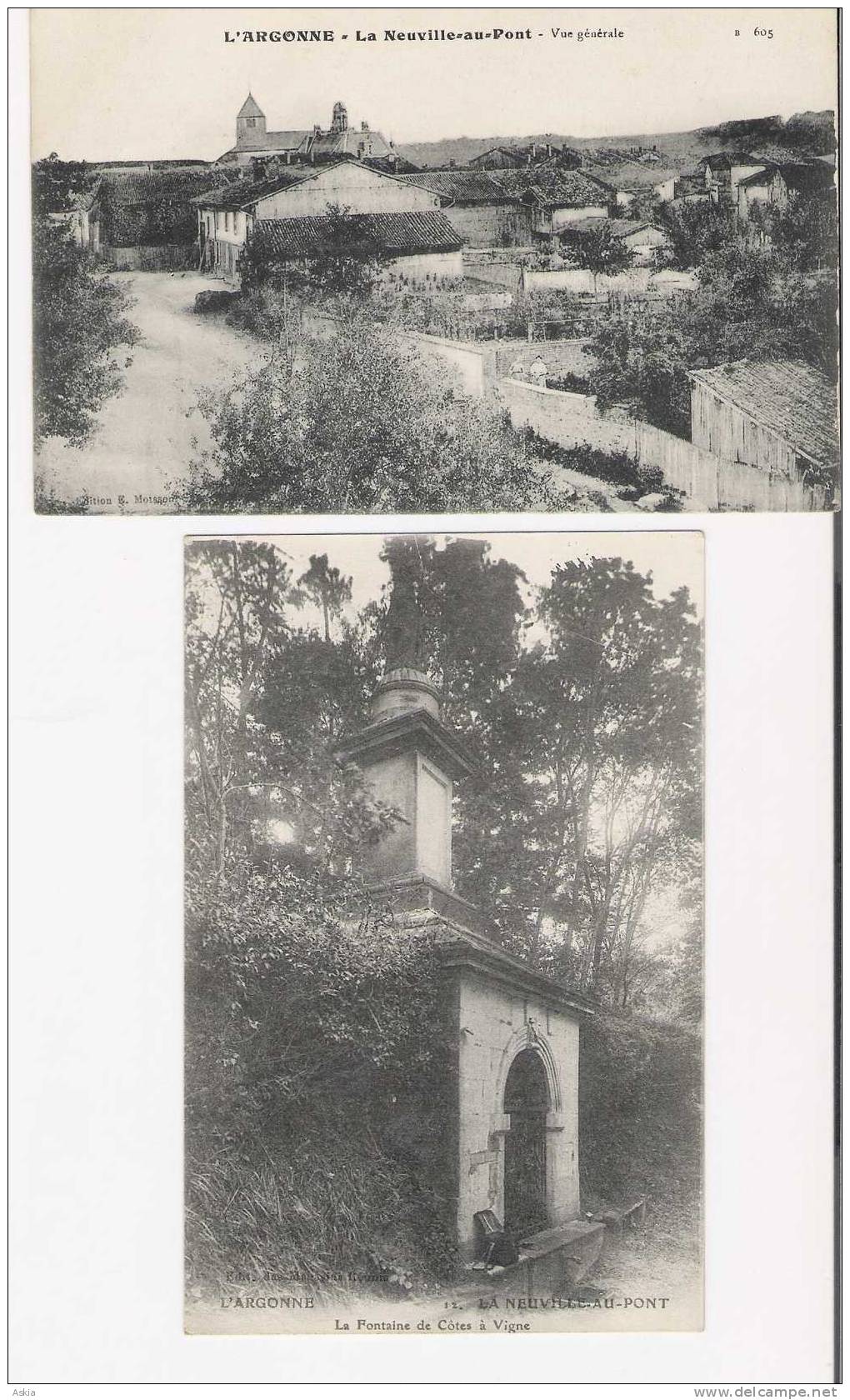 51 - La Neuville-au Pont - Vue Générale, La Fontaine De Côtes à Vigne - War 1914-18