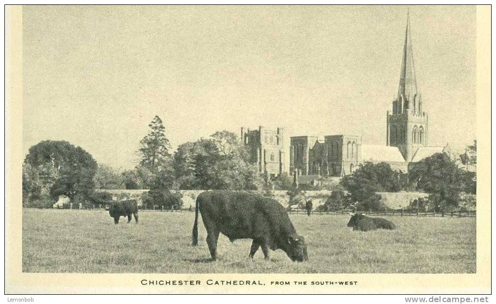 Britain United Kingdom - Chichester Cathedral, From The South-west Old Postcard [P1720] - Chichester