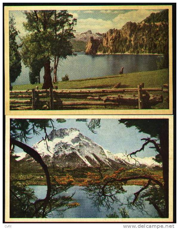 ARGENTINA Ca 1950 - TWO COLOURED POSTAL CARDS Depicting LAKES Of The SOUTH Of ARGENTINA - Argentina