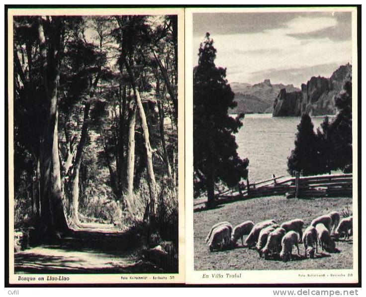 ARGENTINA Ca 1950 - TWO PHOTO CARDS Of BARILOCHE, Rio Negro Province - LANDSCAPES - Argentina