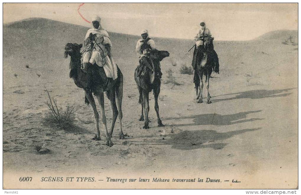 AFRIQUE DU NORD - SCÈNES ET TYPES - Touaregs Sur Leurs Méhara Traversant Les Dunes - Unclassified