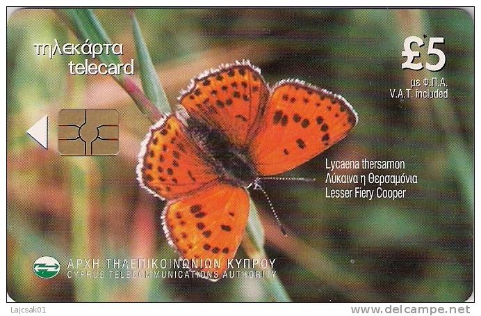 Cyprus 2001.Butterfly With Chip Lesser Fiery Cooper Lycaena Thersamon - Cyprus