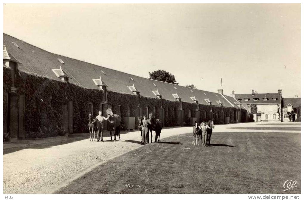 CPSMPF(14)       PONT D OUILLY    Pavillons Du Haras Et Les Poulinieres - Pont D'Ouilly