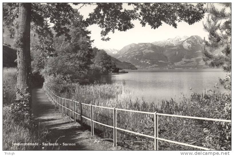 Sachseln Sarnen Seepromenade - Sarnen