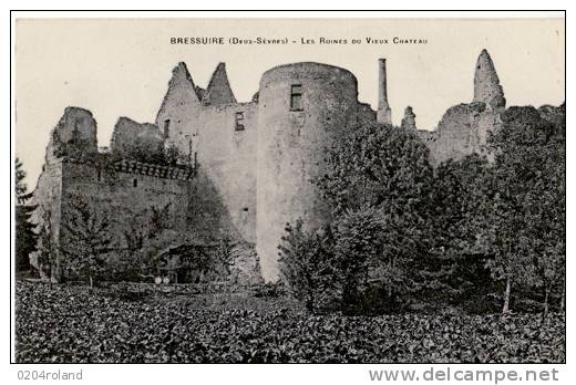 Bressuire -  Les Ruines Du Vieux Château : Achat Immédiat - Bressuire