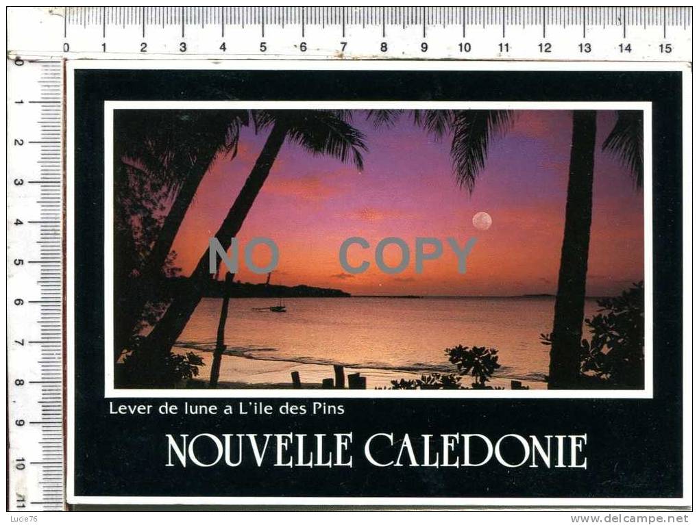 NOUVELLE CALEDONIE  -  Lever De Lune à L'  ILE Des PINS - Nouvelle Calédonie