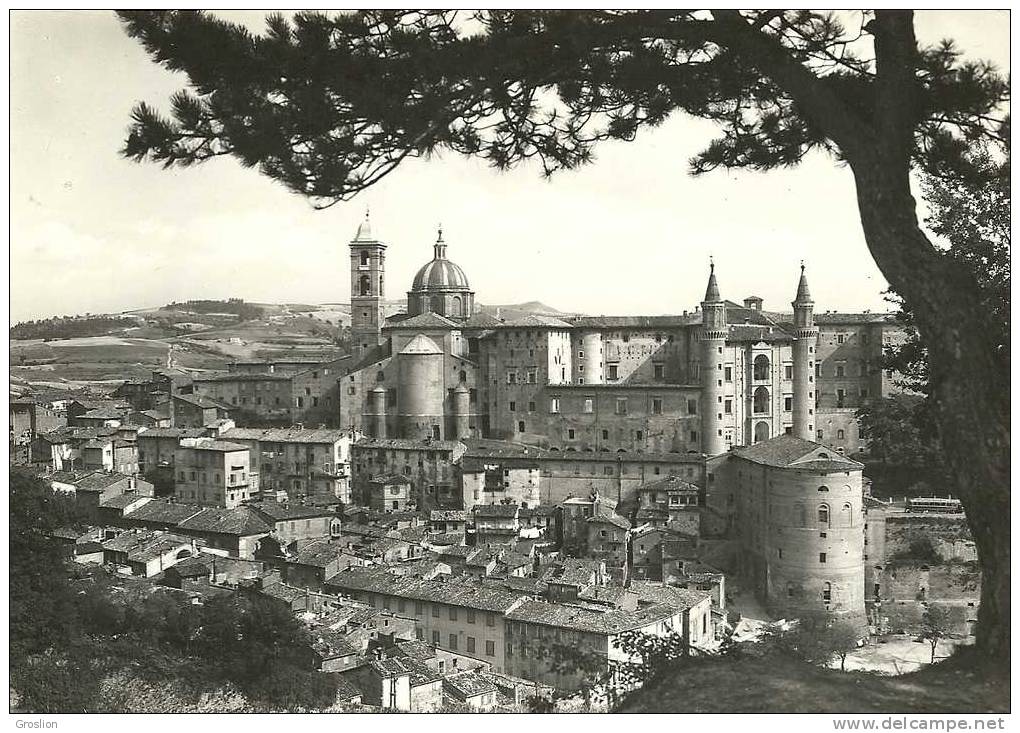 URBINO PANORAMA - Urbino