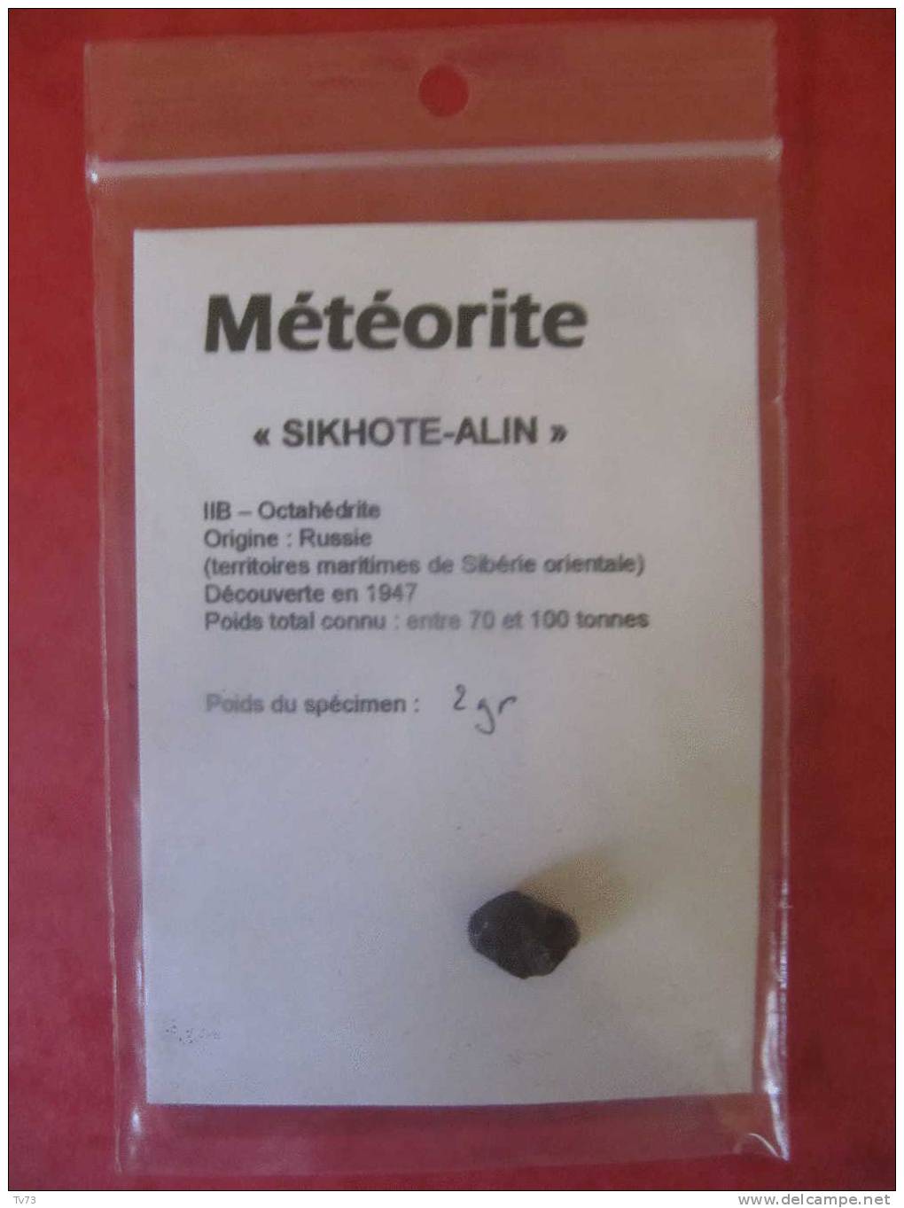 Meteorite SIKHOTE ALIN Authentique  - SIK 08 - Meteoritos