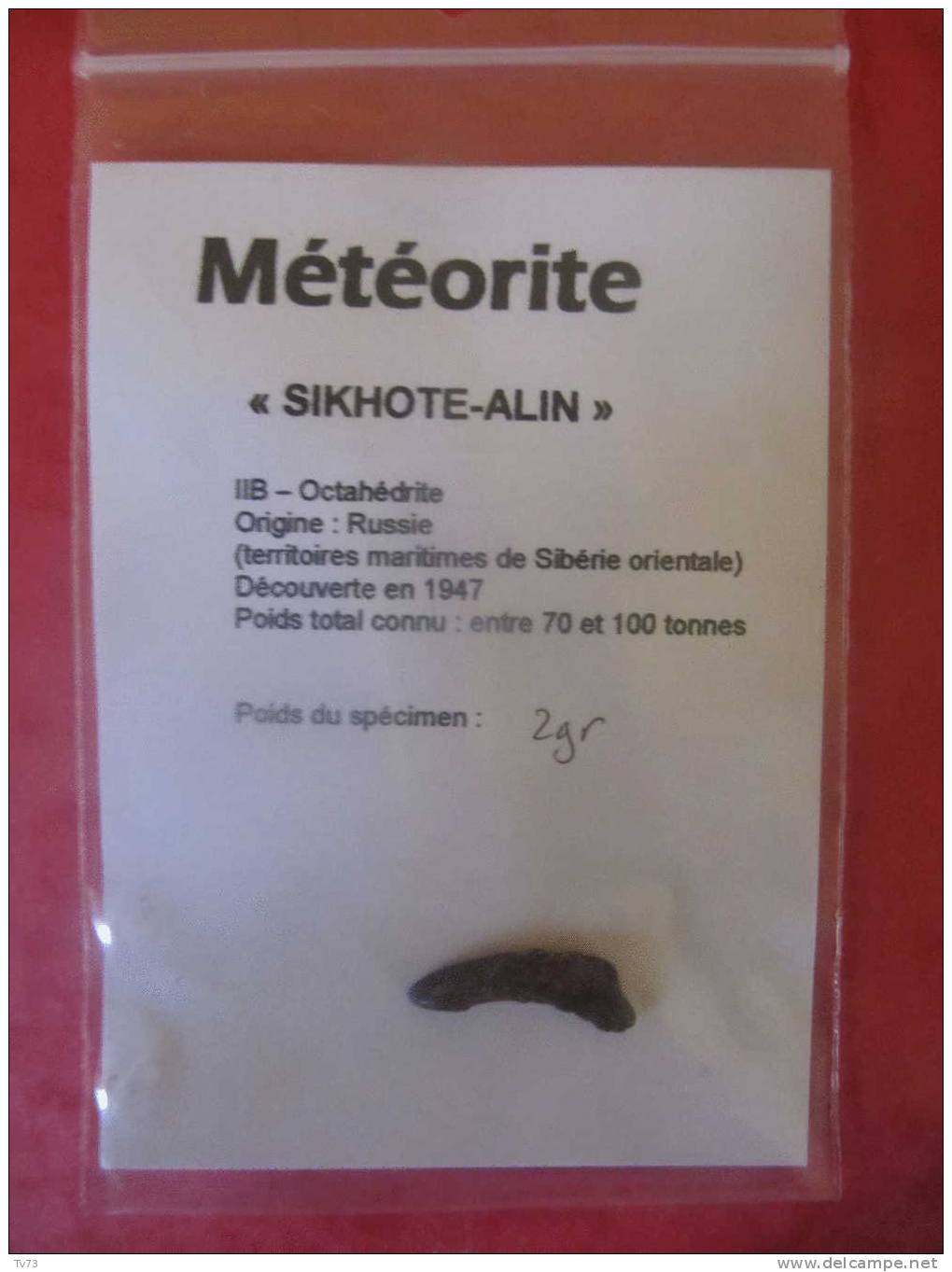 Meteorite SIKHOTE ALIN Authentique  - SIK 09 - Meteorieten