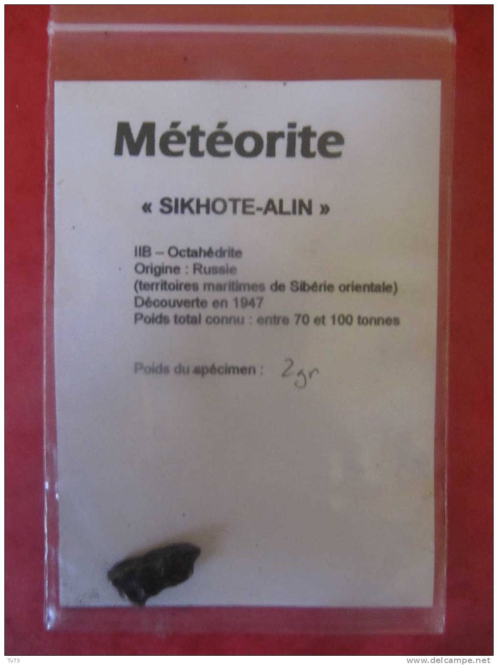 Meteorite SIKHOTE ALIN Authentique  - SIK 10 - Meteoriten