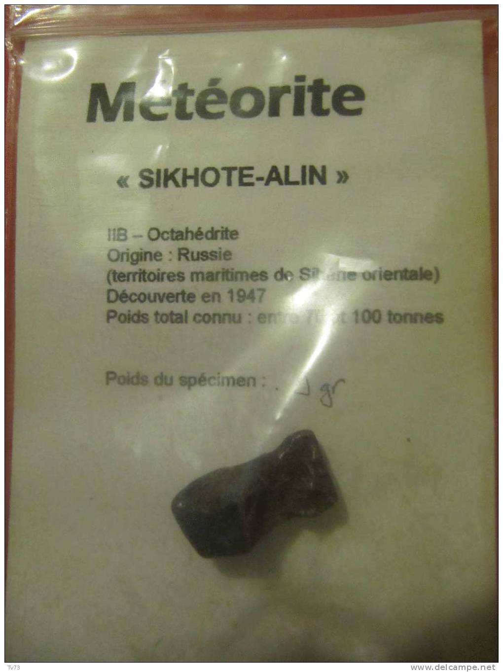 Meteorite SIKHOTE ALIN Authentique - SIK 36 - Meteorieten