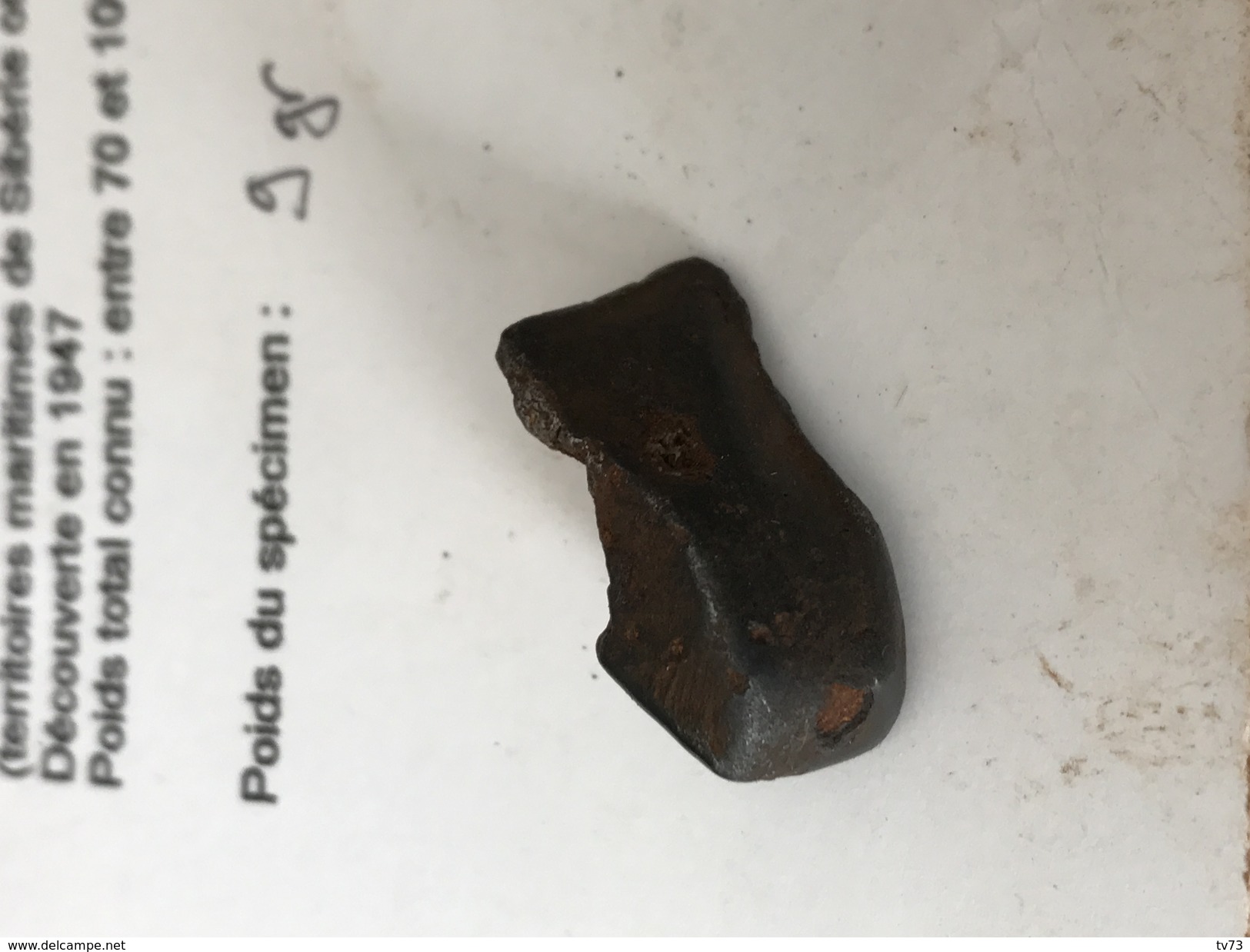 Meteorite SIKHOTE ALIN Authentique - SIK 36 - Météorites