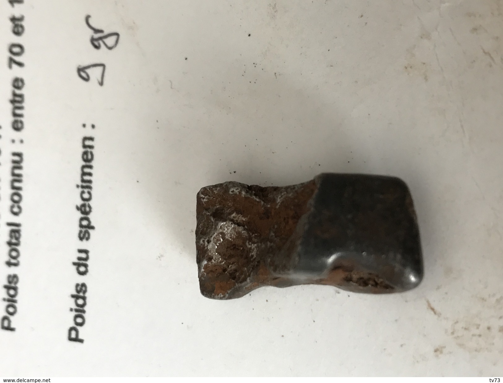 Meteorite SIKHOTE ALIN Authentique - SIK 36 - Météorites