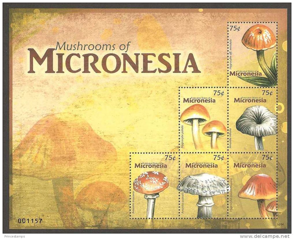 Micronesia (2010) - MS -   /  Setas - Pilze - Mushrooms - Champignons - Fungi - Funghi