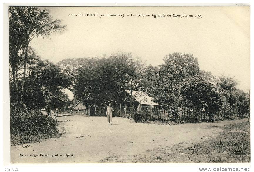 CAYENNE- LA  COLONIE  AGRICOLE  DE  MONTJOLY  N283 - Cayenne