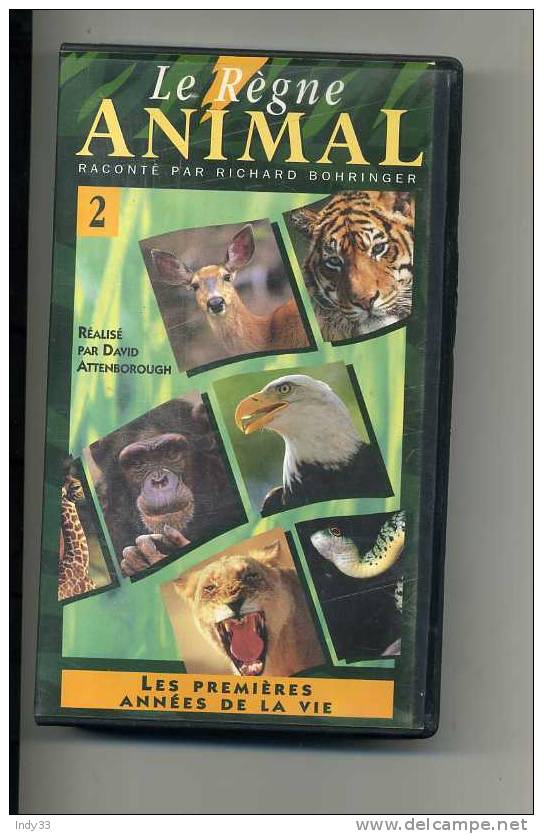 CASSETTE VIDEO LE REGNE ANIMAL N°2 . LES PREMIERES ANNEES DE LA VIE - Documentaire