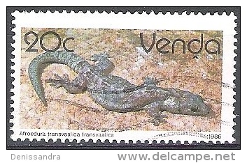 Venda 1986 Michel 131Y O Cote (2002) 1.50 Euro Salamandre De Transvaal - Venda