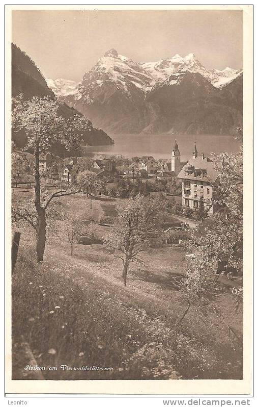 Sisikon Am Vierwaldtättersee 1951 - Sisikon